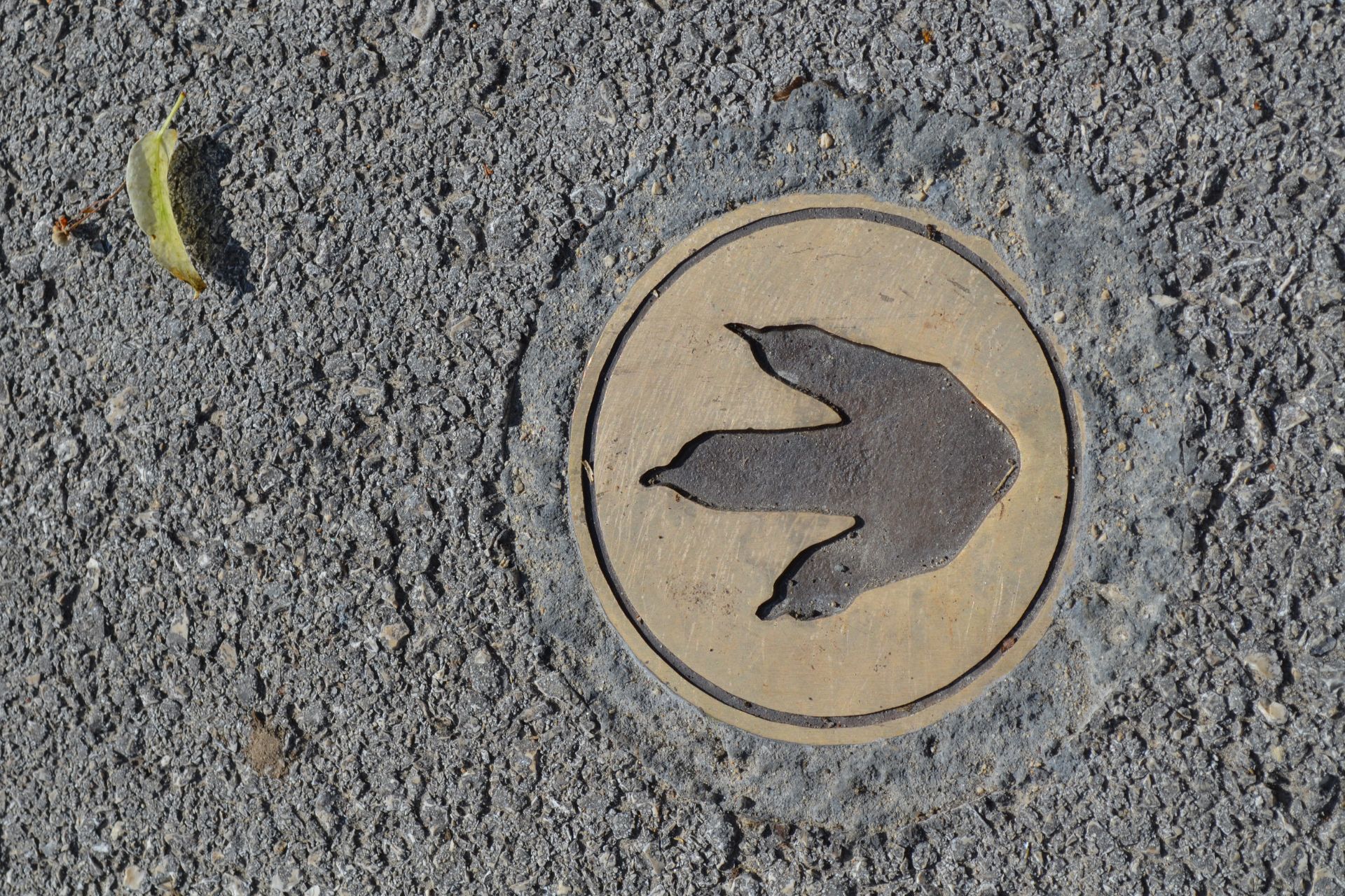 Sentier Drugeon et Dragon pas de Dragon - &copy; Maud Humbert