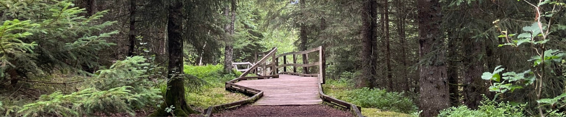 Sentier Réserve Naturelle Régionale des Tourbières de Frasne-Bouverans - &copy; Marion Monnier