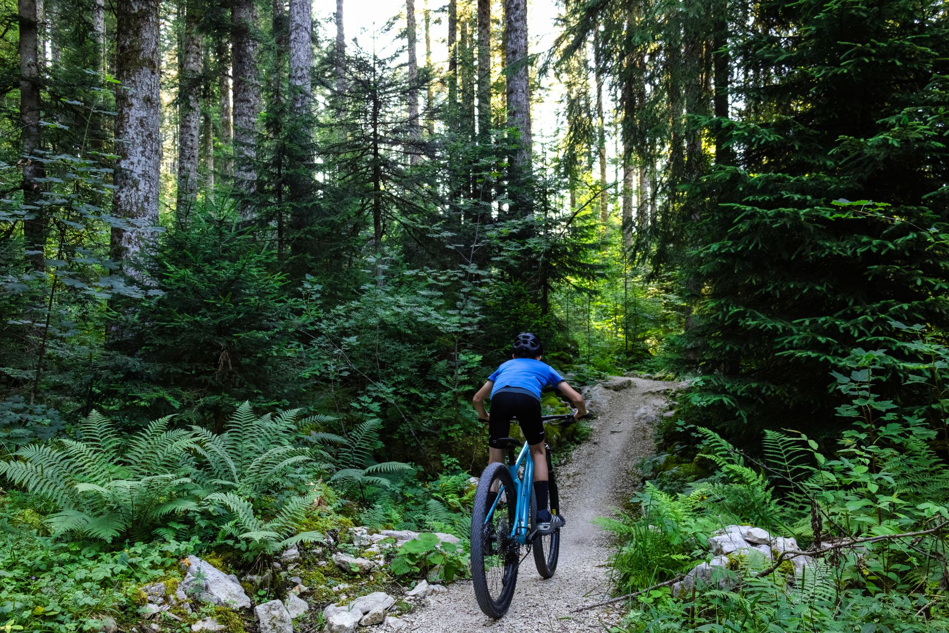 Single track des Fourgs - &copy; Céline Guichard