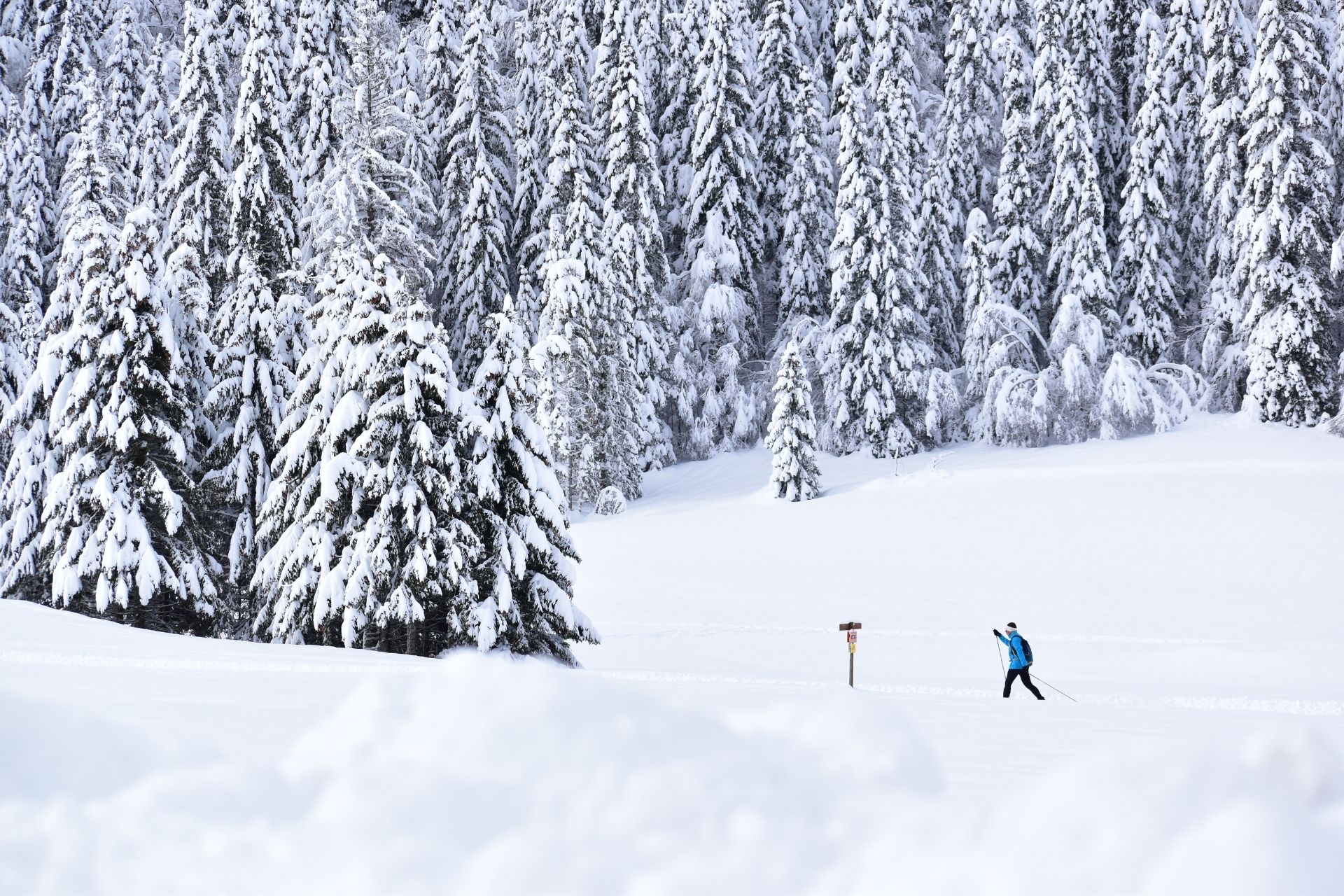 Ski de fond à Chapelle des Bois - &copy; Sorya Hou