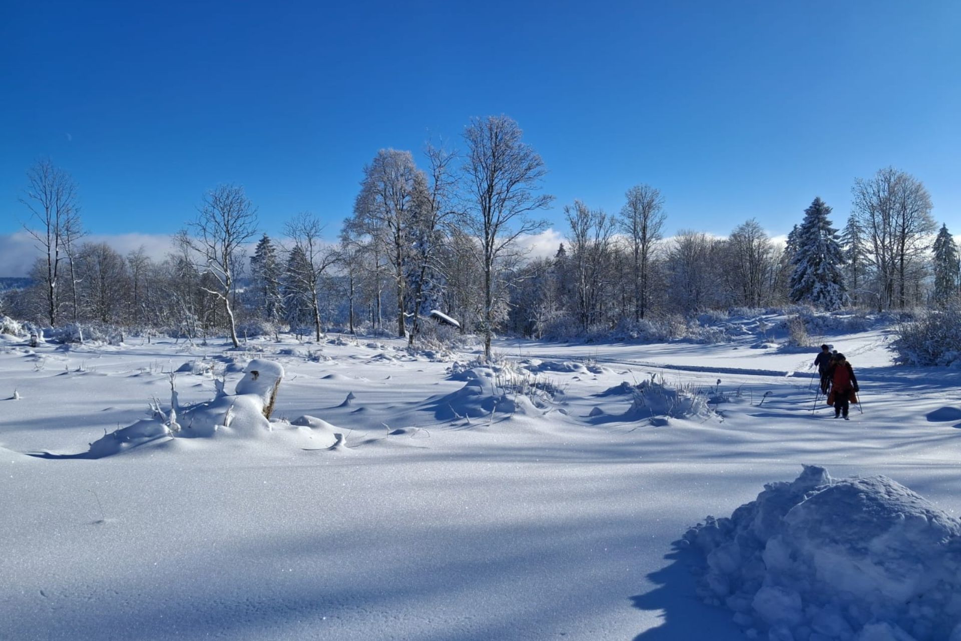 ski-de-randonne-e-manu-saillard-126465 - &copy; Manu Saillart