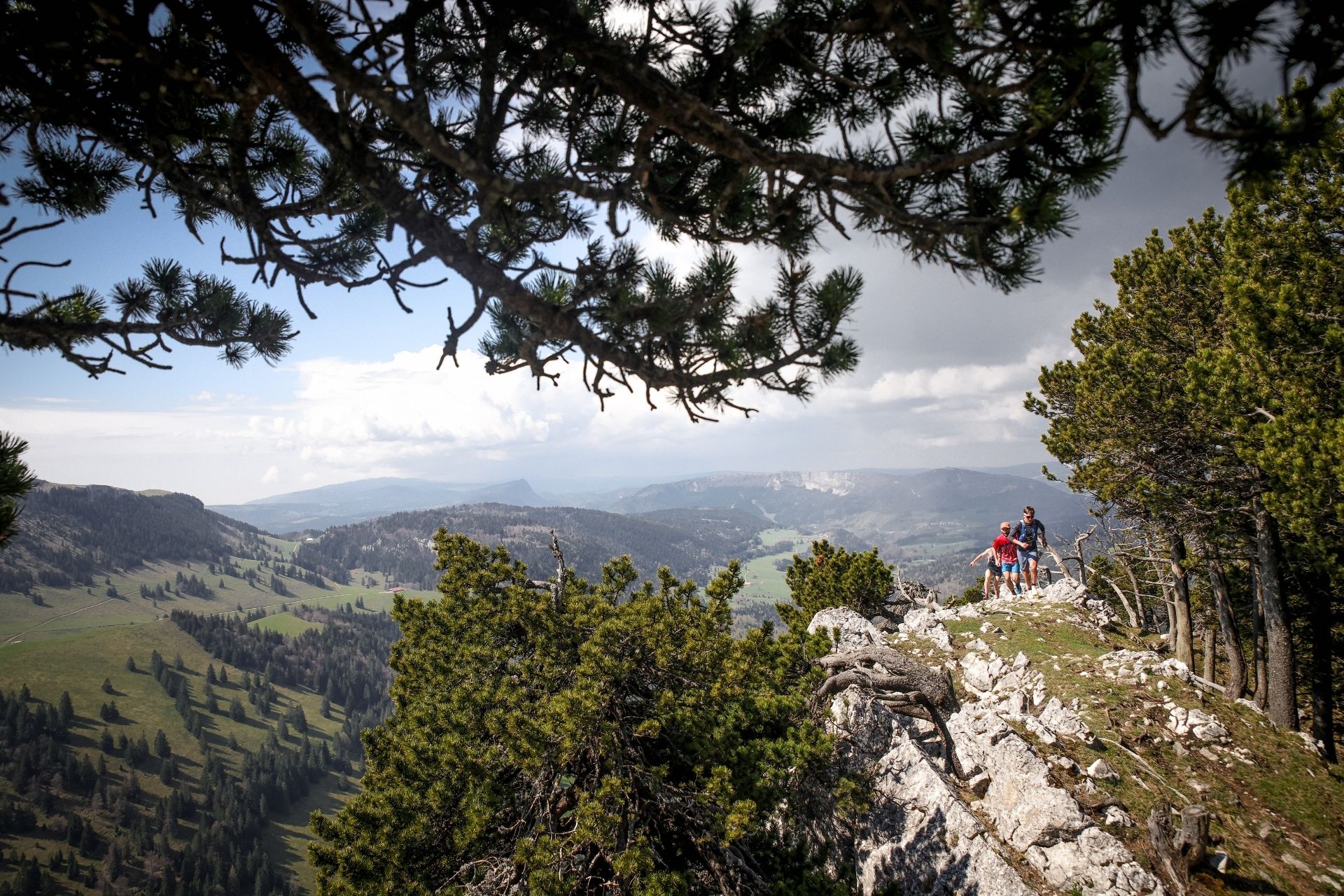 Sortie trail sur le Mont d'Or - © Cyrille Quintard