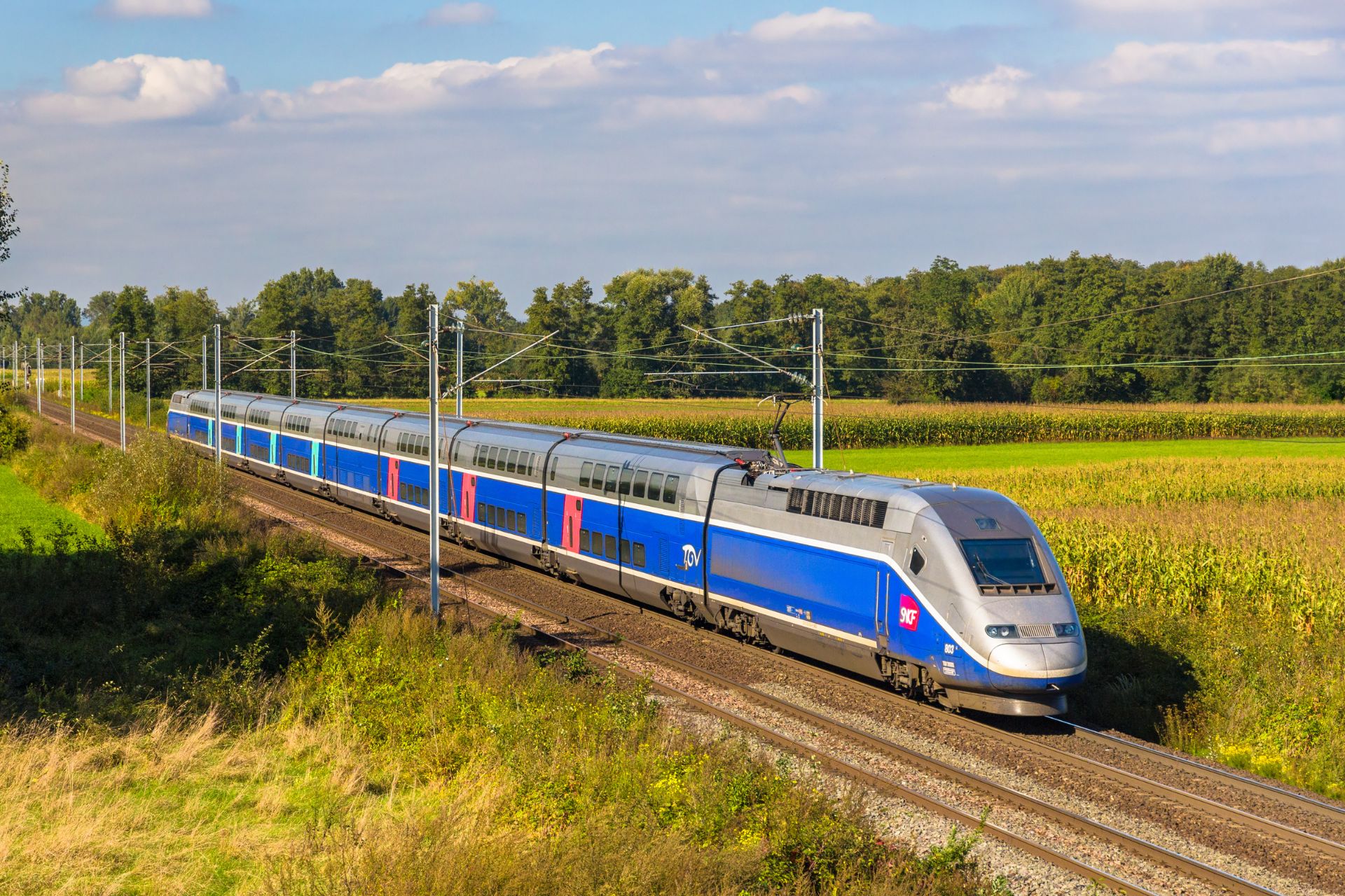 Train TGV - France - &copy; Canva