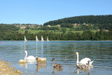 Baignade, voile sur le lac St Point