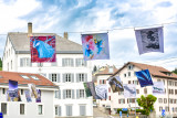 Drapeaux 55