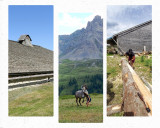 Montage photo JPPM 2026 - Ecomusée Maison Michaud