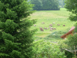 Vue du balcon