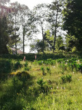 Musée Vie d'Antan - Promenade sur les sentiers