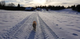 Nos pistes de ski de fond sur place