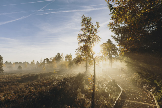 Tourbieres Frasne Bouverans
