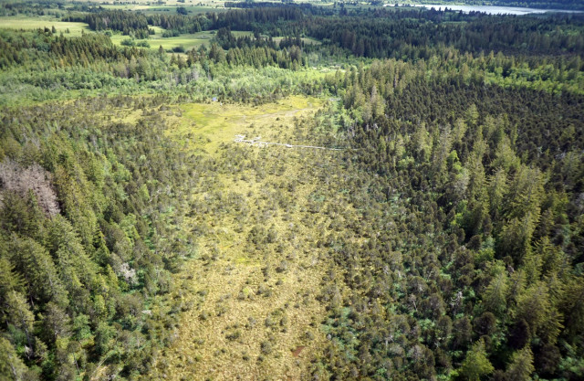 Tourbieres Frasne Bouverans