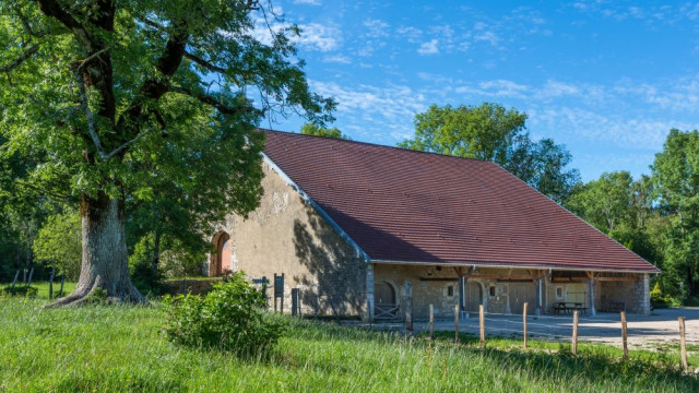 Cessay_RNR tourbieres