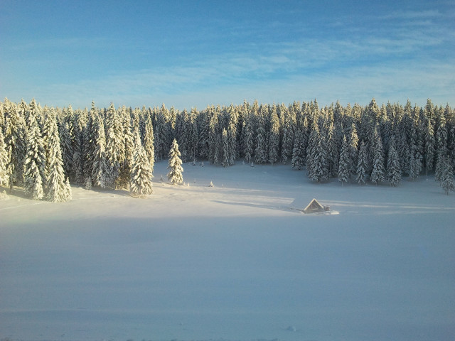 Sous la neige dans les hauts de Sarrageois 