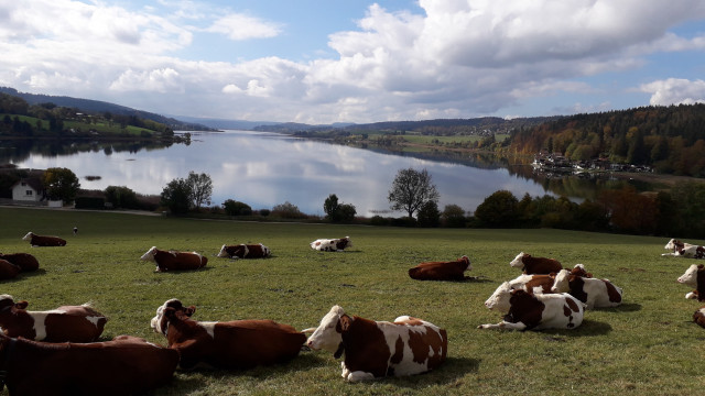 L'été dans le hauts Doubs (vue du parking panoramic au dessus de la résidence))