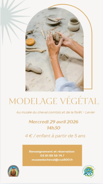 2026_animation_modelage