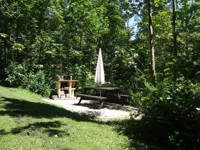 barbecue, table, bancs, parasol au milieu de la zone boisée