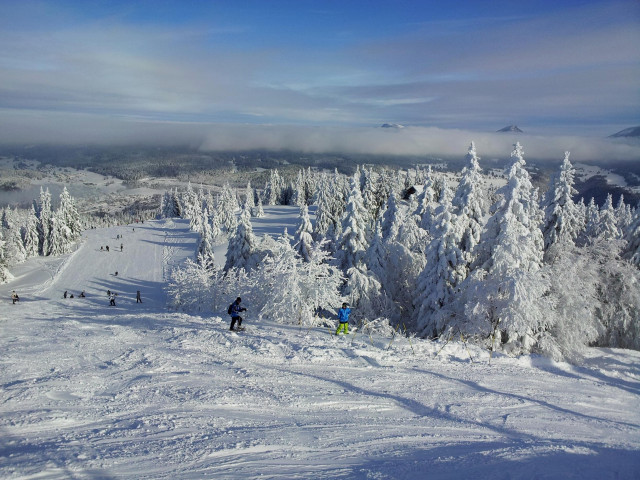 CHALET 1 - ROLAND SALVI_9