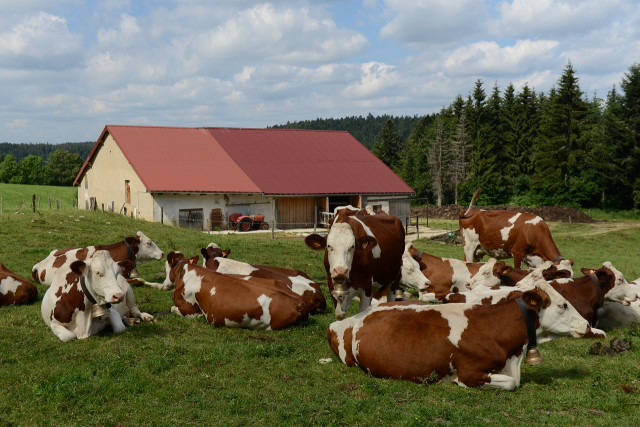 APPARTEMENT - LA FERME DE FLEURETTE_9