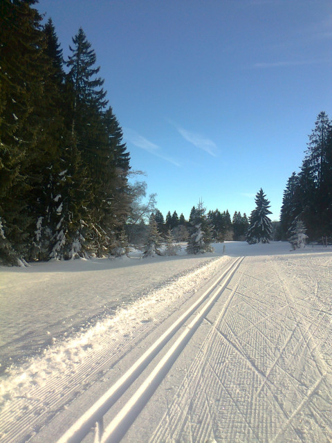 CHALET 29 D - pistes de fond