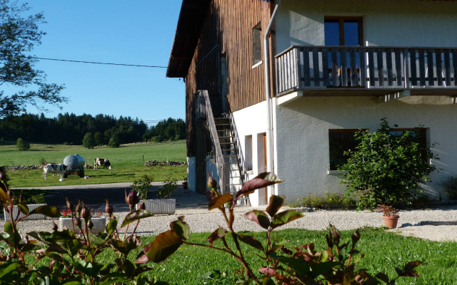 APPARTEMENT - GENTIANE JAUNE - SANDRA DUXIN_7