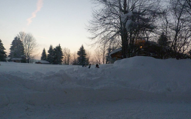 APPARTEMENT - NARCISSE - SANDRA DUXIN_3