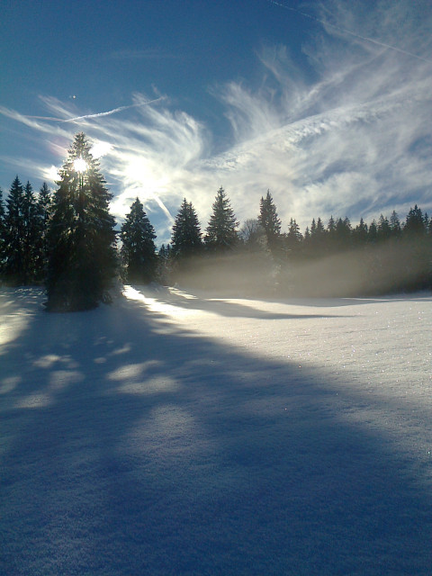 CHALET 29 D - image d hiver