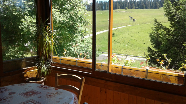 CHALET 29 D véranda