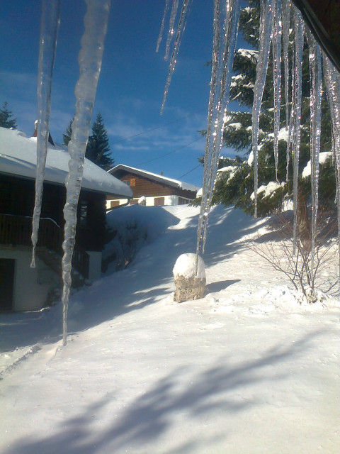 CHALET 29 D - emplacement