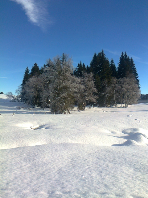 CHALET 29 D secteur du voiron