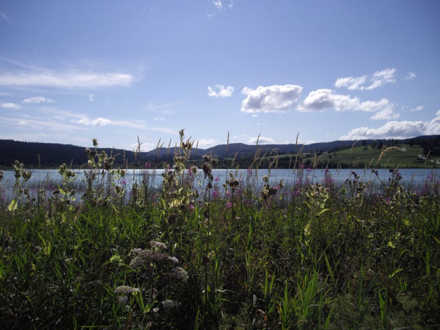 APPARTEMENT - CATHERINE HÉRAULT_2