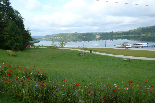 APPARTEMENT - GENEVIÈVE GRENARD RENAUD_7