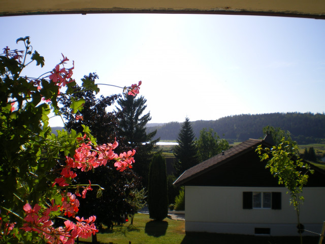 APPARTEMENT -  DANIEL PASQUIER_9