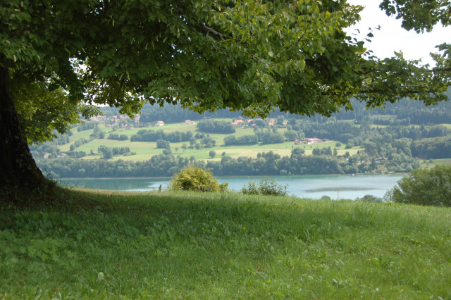 APPARTEMENT - CATHERINE GINDRE_10