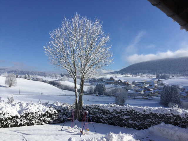 645FF501-62C1-4003-B4BD-4D41D12A36EE