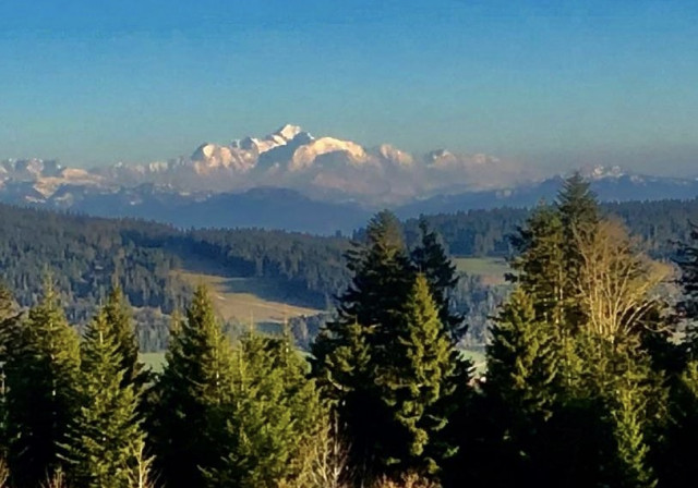Vue depuis la terrasse sud