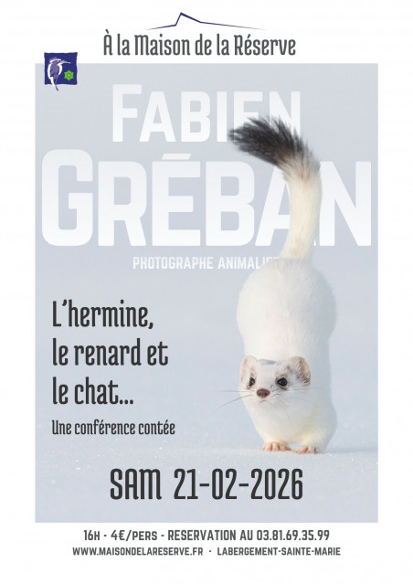 Affiche-Conf-&-Projections - 1