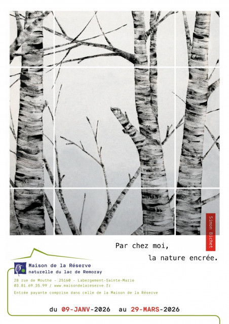 Affiche Simon Bichet