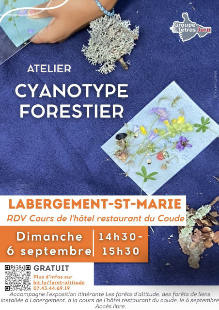 Atelier Cyanotype Forestier