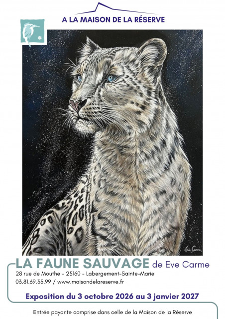Expo Eve Carme