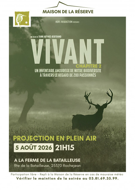 Film en plein air