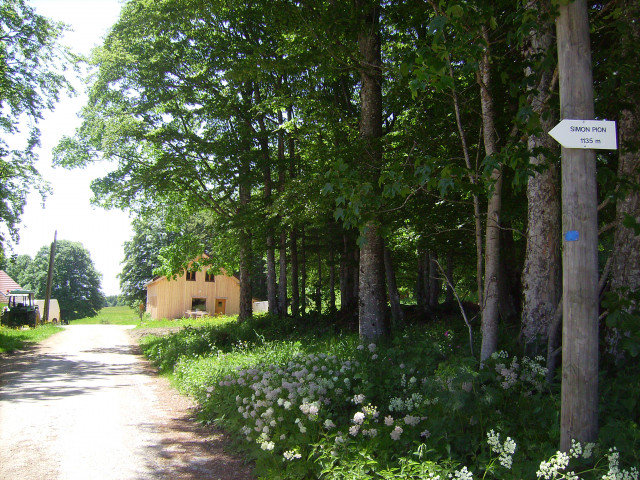 de retour de promenade 