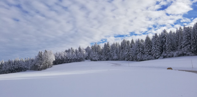 Nos pistes de ski de fond