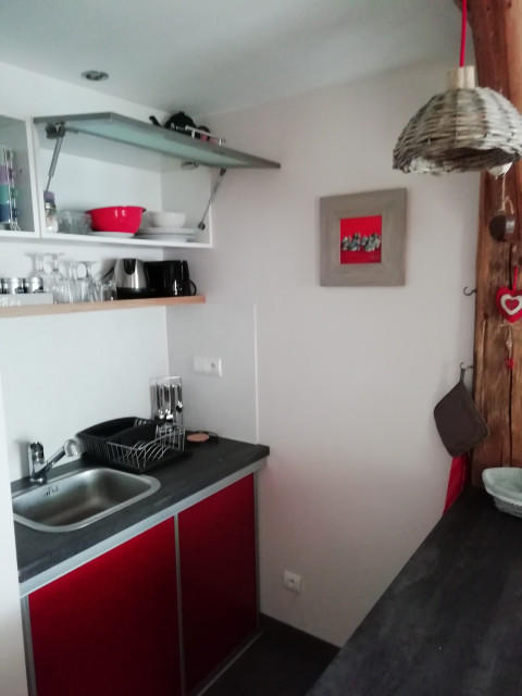 kitchenette avec évier, micro-ondes et frigo