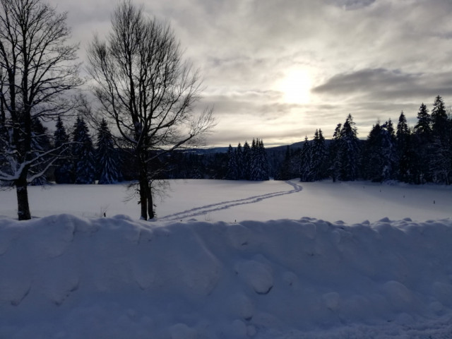 Piste de raquette Mont d'or