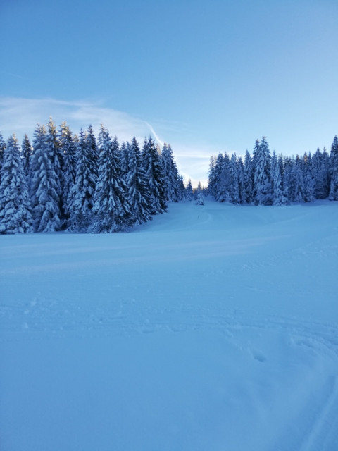 Mont d'Or, Les Grangettes