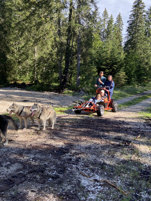 balade en kart avec les chiens