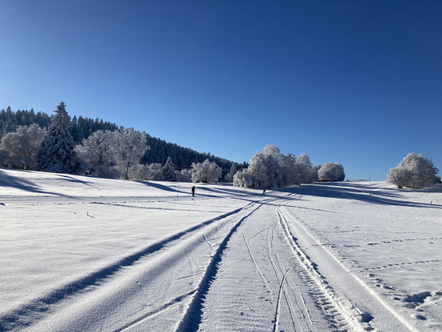 Nos pistes de ski de fond
