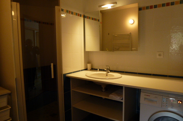 L1010134 La salle de douche, le lave linge 