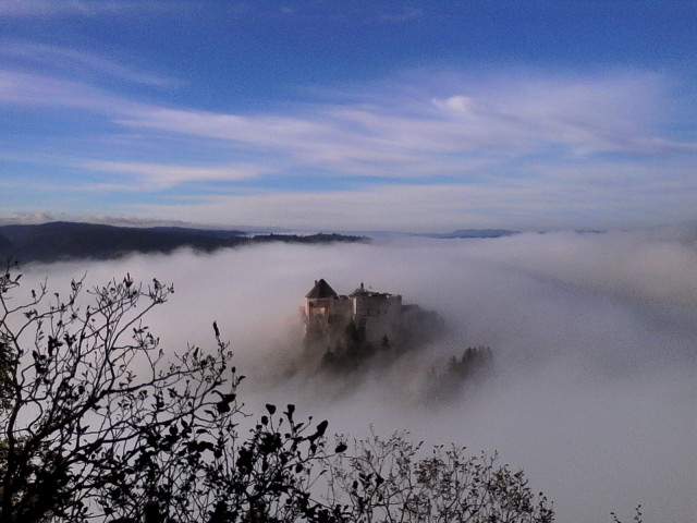 Le château  de joux