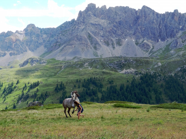 Les chevaux Célestes